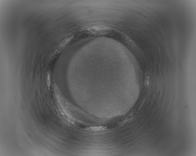 X0000080181108200701051650