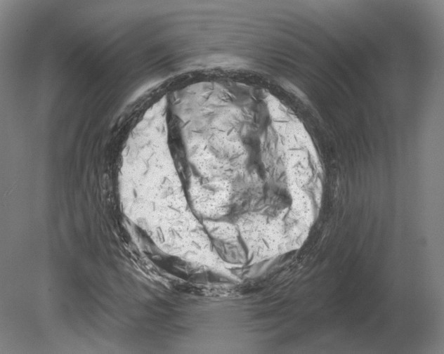 X0000080181112200701051650