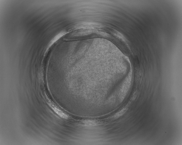 X0000080181114200701051650