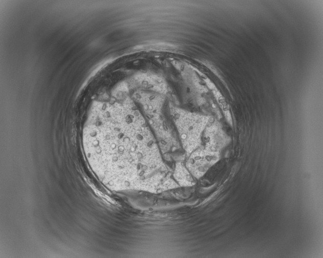 X0000080181115200701051650