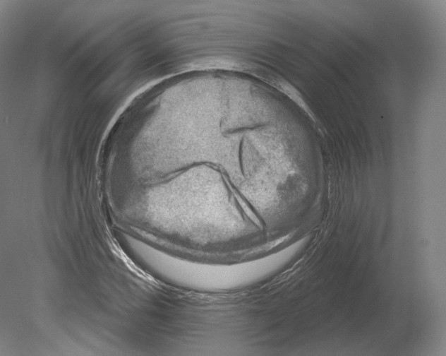 X0000080181116200701051650