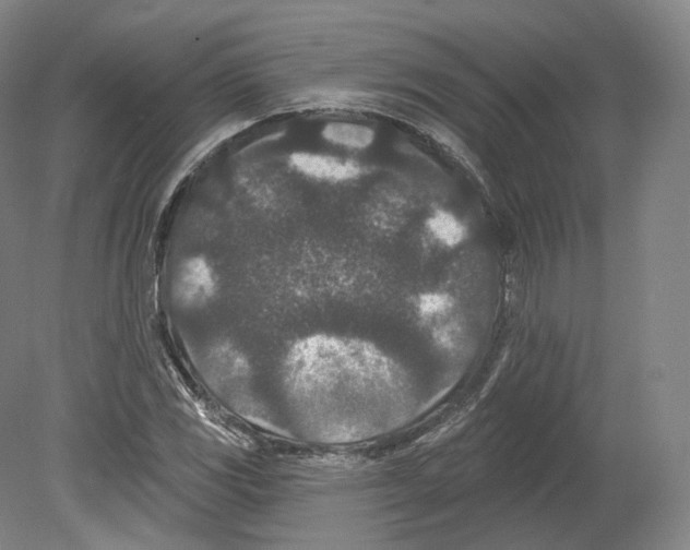 X0000080181117200701051650