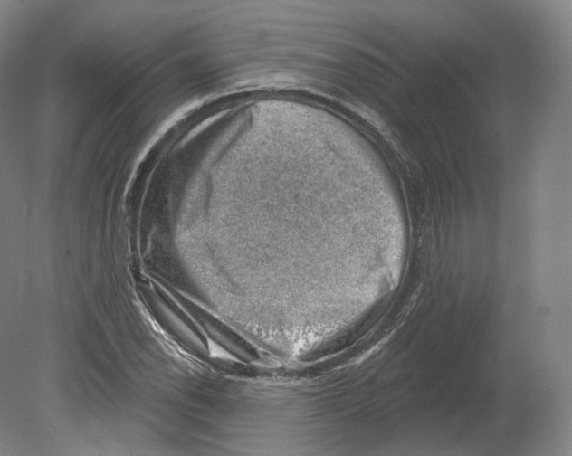 X0000080181118200701051650