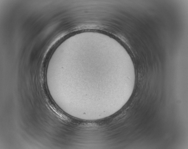 X0000080181119200701051650