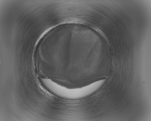 X0000080181120200701051650