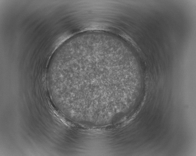 X0000080181121200701051650