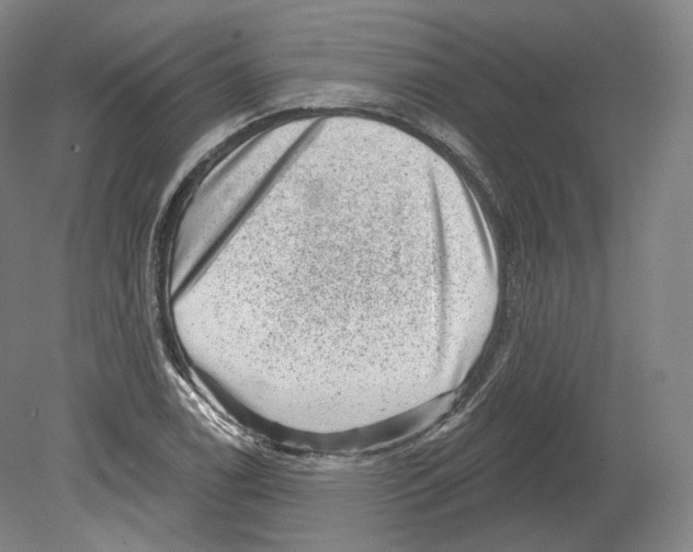 X0000080181122200701051650