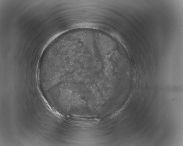 X0000080181125200701051650