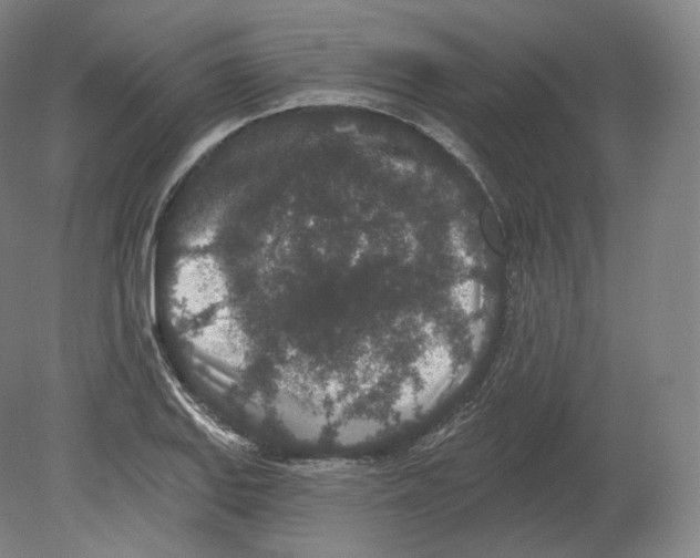 X0000080181127200701051650