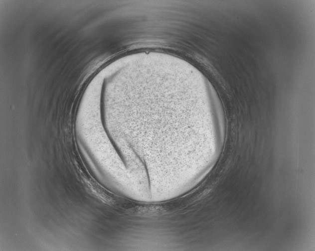 X0000080181129200701051650