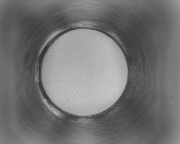 X0000080181131200701051650