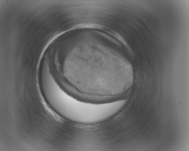 X0000080181132200701051650