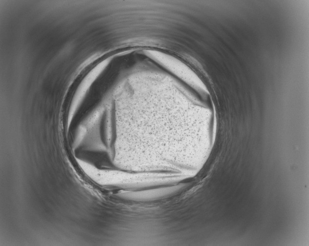 X0000080181133200701051650