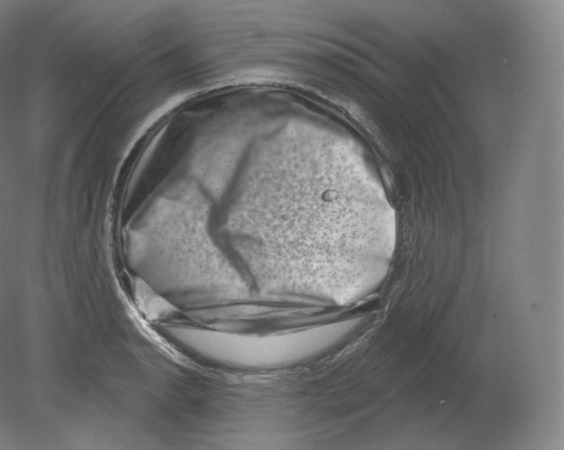 X0000080181134200701051650