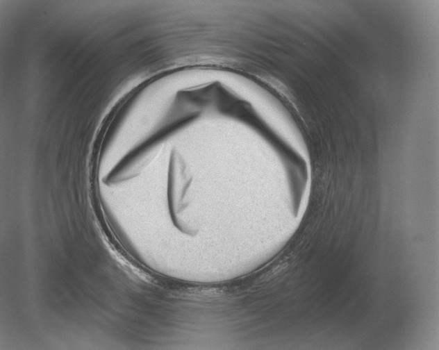 X0000080181135200701051650