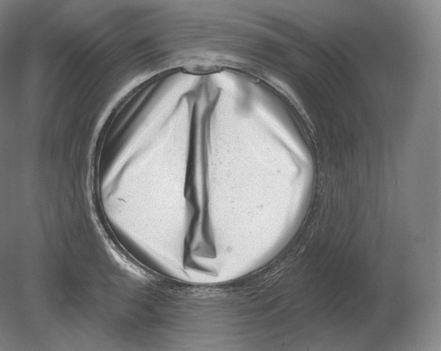 X0000080181136200701051650