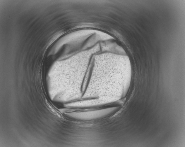 X0000080181137200701051650