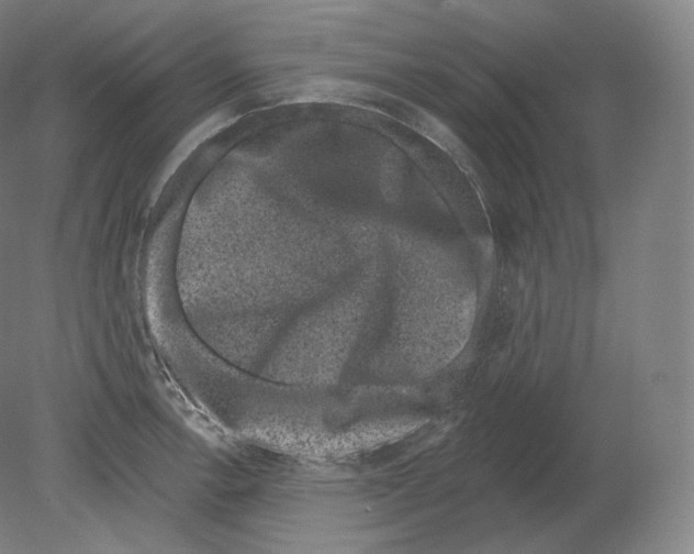 X0000080181138200701051650