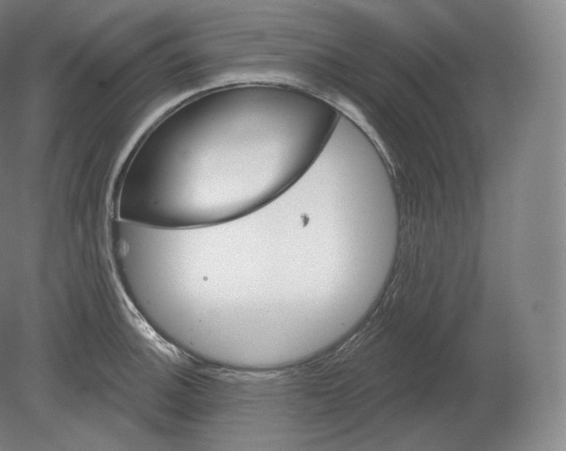 X0000080181140200701051650