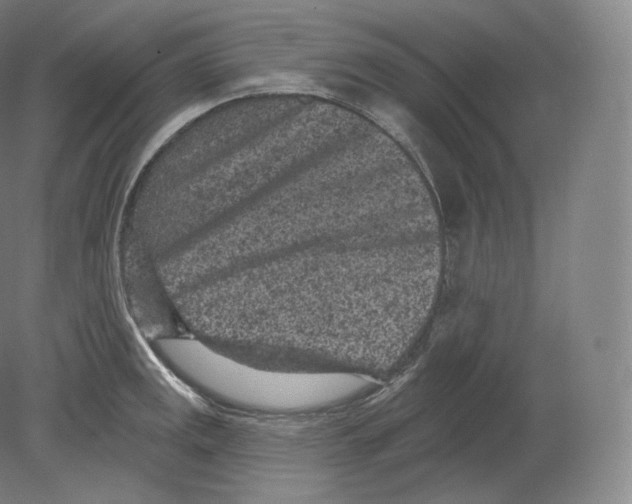 X0000080181141200701051650