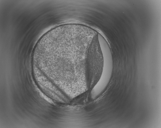 X0000080181142200701051650