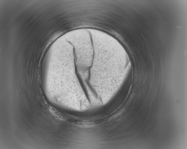 X0000080181145200701051650