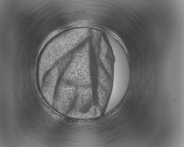 X0000080181146200701051650