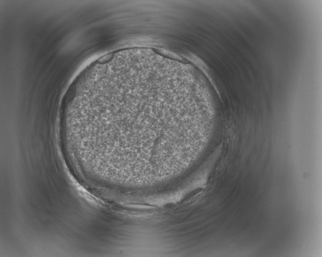 X0000080181147200701051650