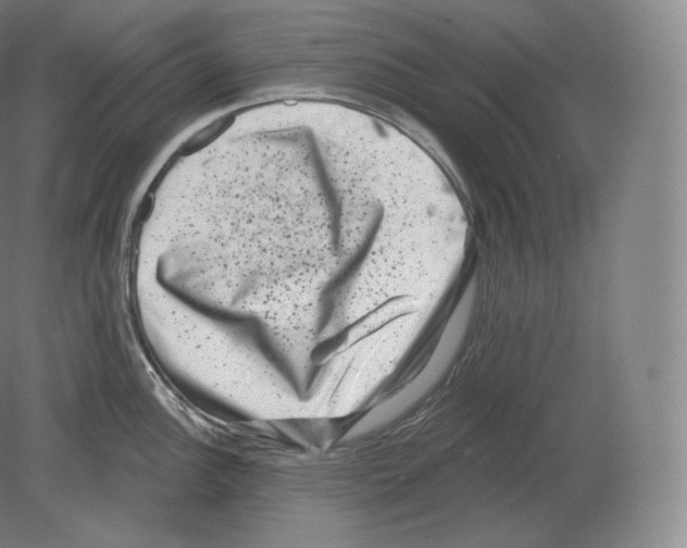 X0000080181148200701051650