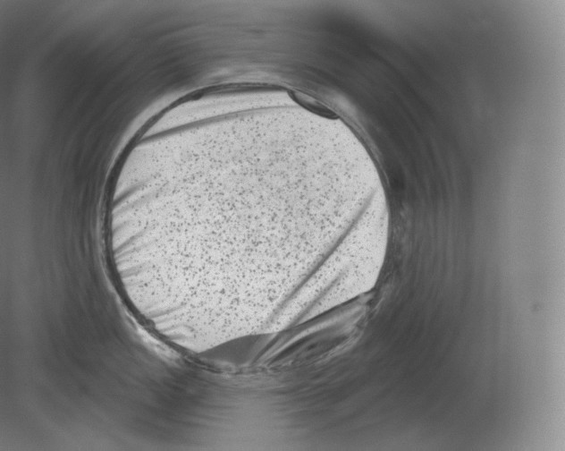 X0000080181149200701051650