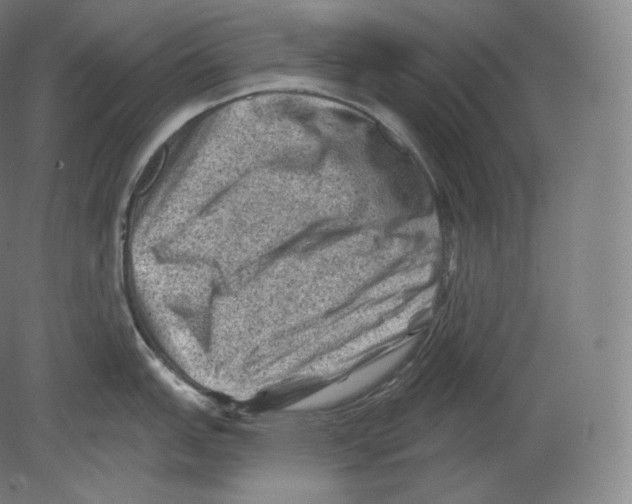 X0000080181151200701051650