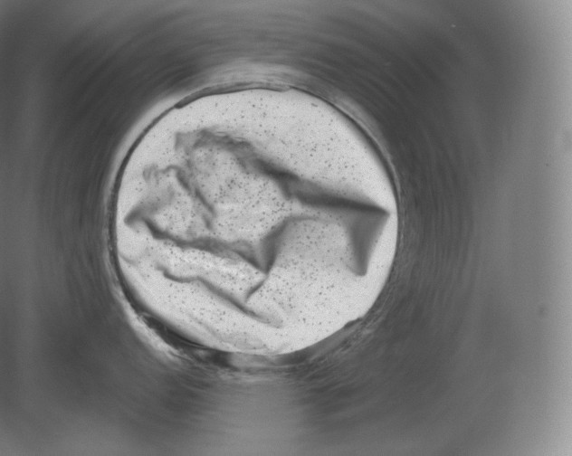 X0000080181152200701051650