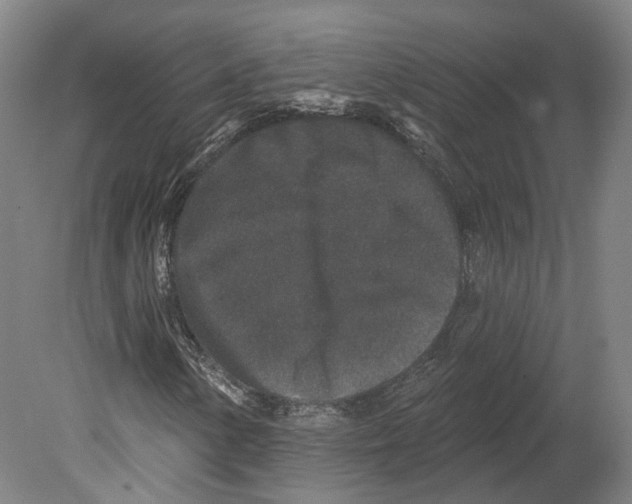 X0000080181154200701051650