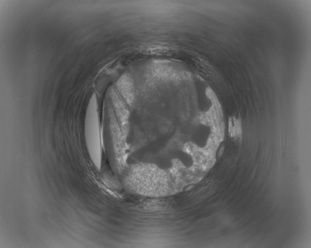 X0000080181155200701051650