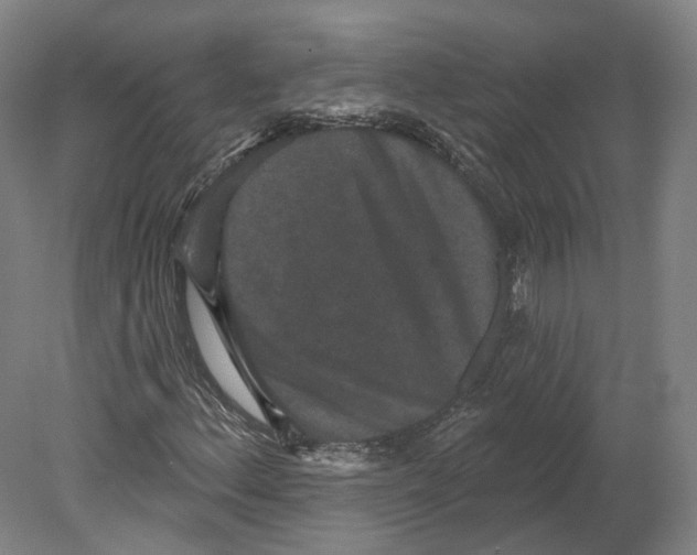 X0000080181156200701051650