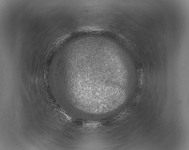 X0000080181157200701051650