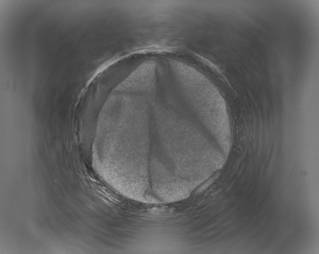 X0000080181160200701051649