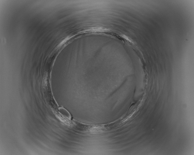 X0000080181161200701051649