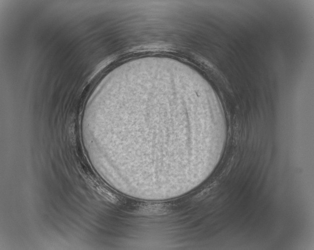 X0000080181162200701051649