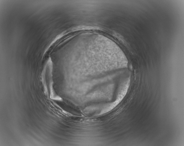 X0000080181165200701051649