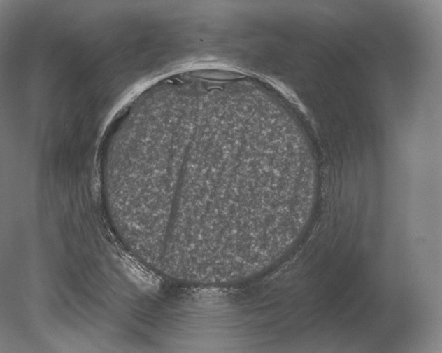 X0000080181167200701051649