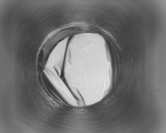 X0000080181168200701051649