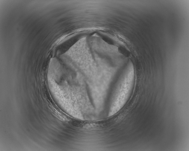 X0000080181169200701051649