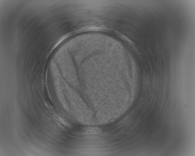 X0000080181170200701051649