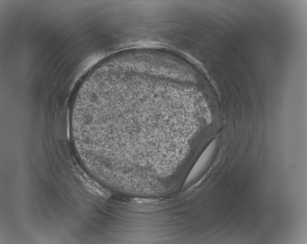 X0000080181171200701051649