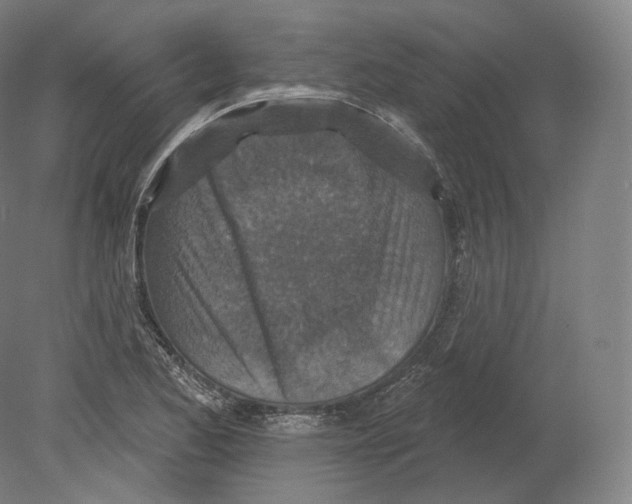 X0000080181173200701051649