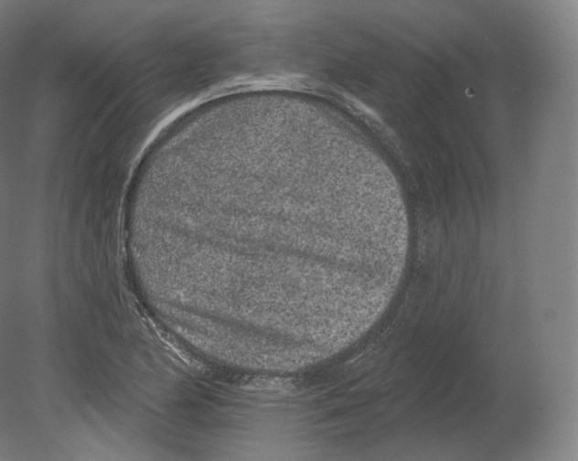 X0000080181174200701051649