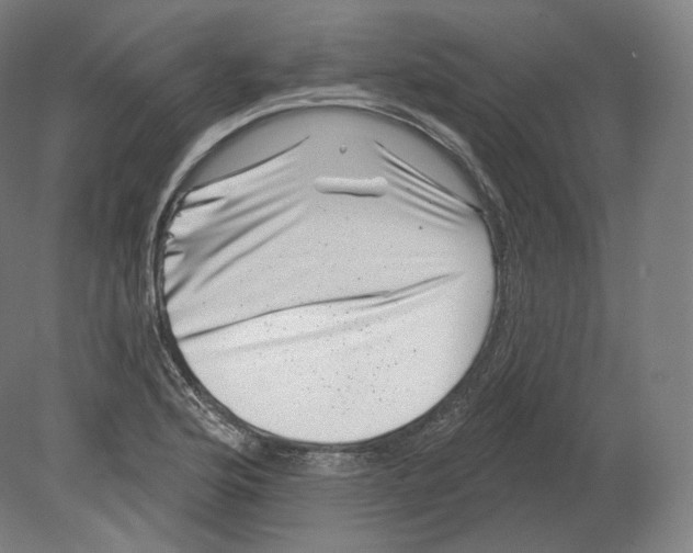 X0000080181176200701051649