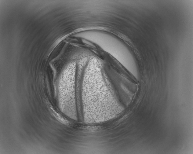 X0000080181177200701051649