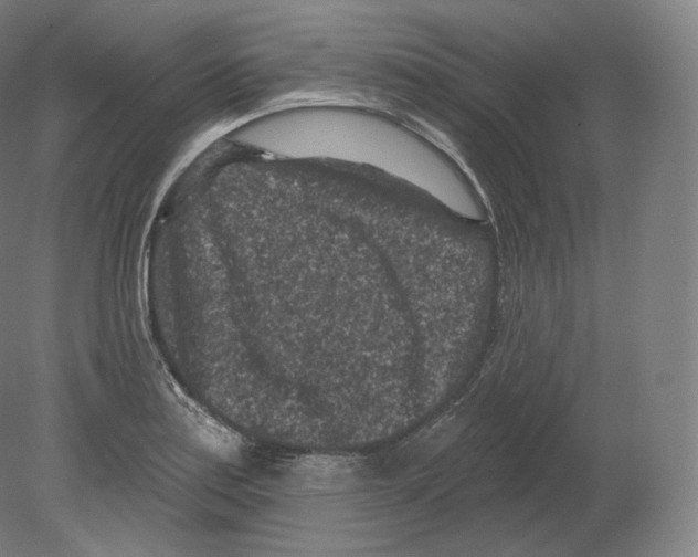 X0000080181179200701051649